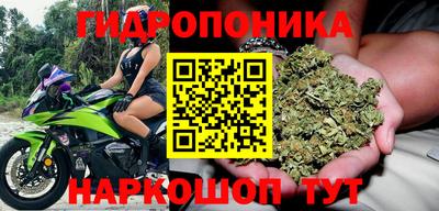 стафф Малгобек