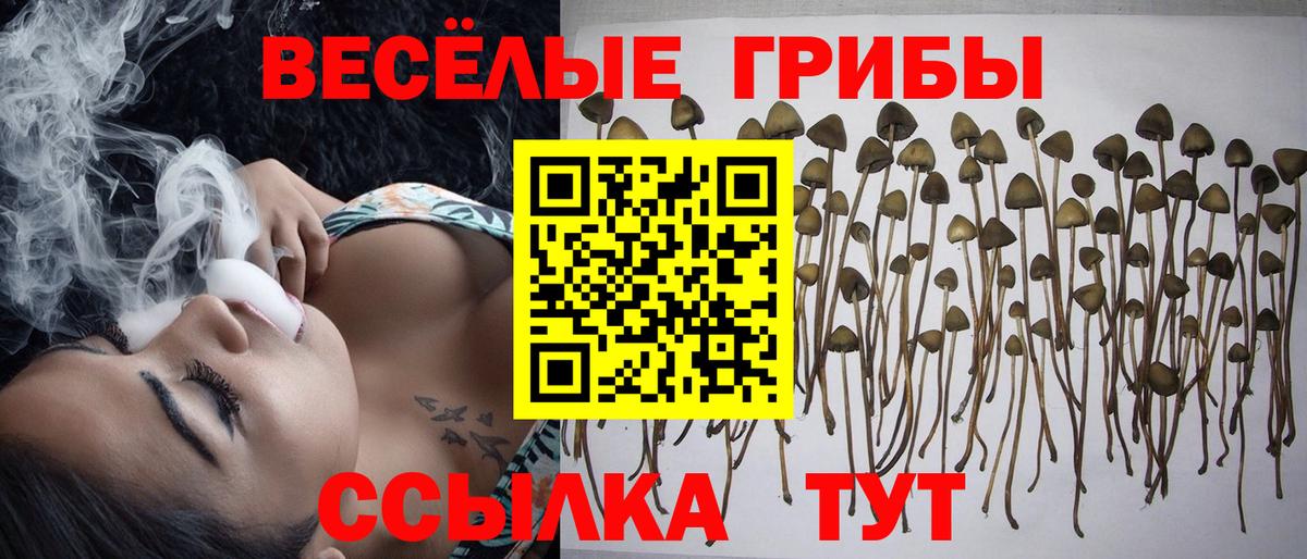 Галлюциногенные грибы ЛСД Азов